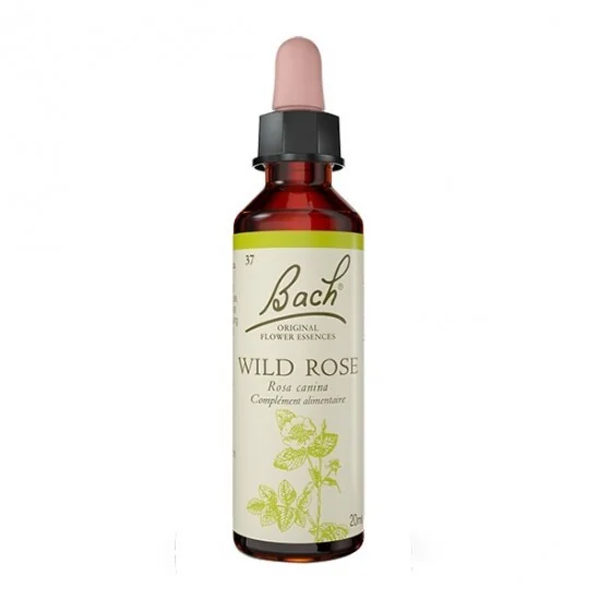 Fleurs de bach n°37 wild rose 20ml
