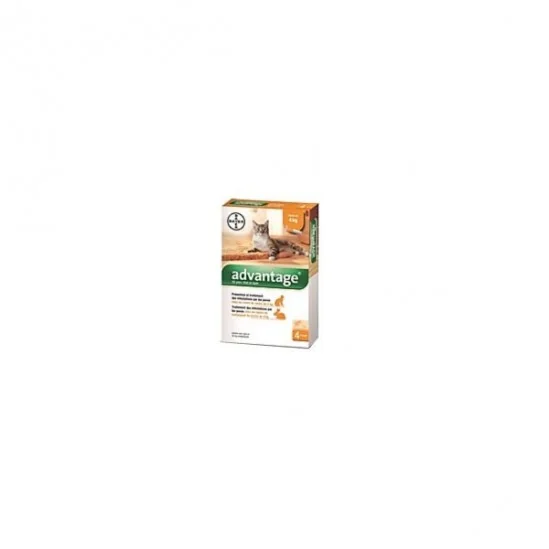 Advantage 40 pour chat et lapin