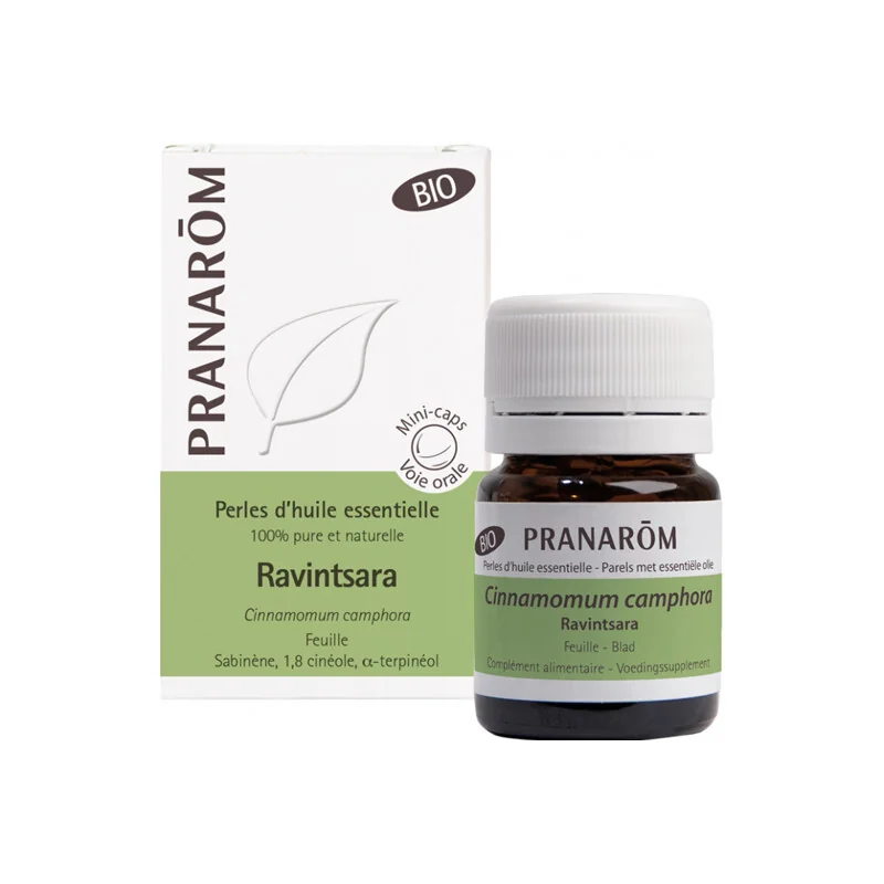 Pranarôm cinnamomum camphora ravintsara 60 perles