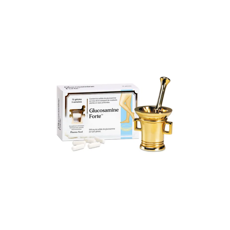 Glucosamine Forte – cartilages articulaires