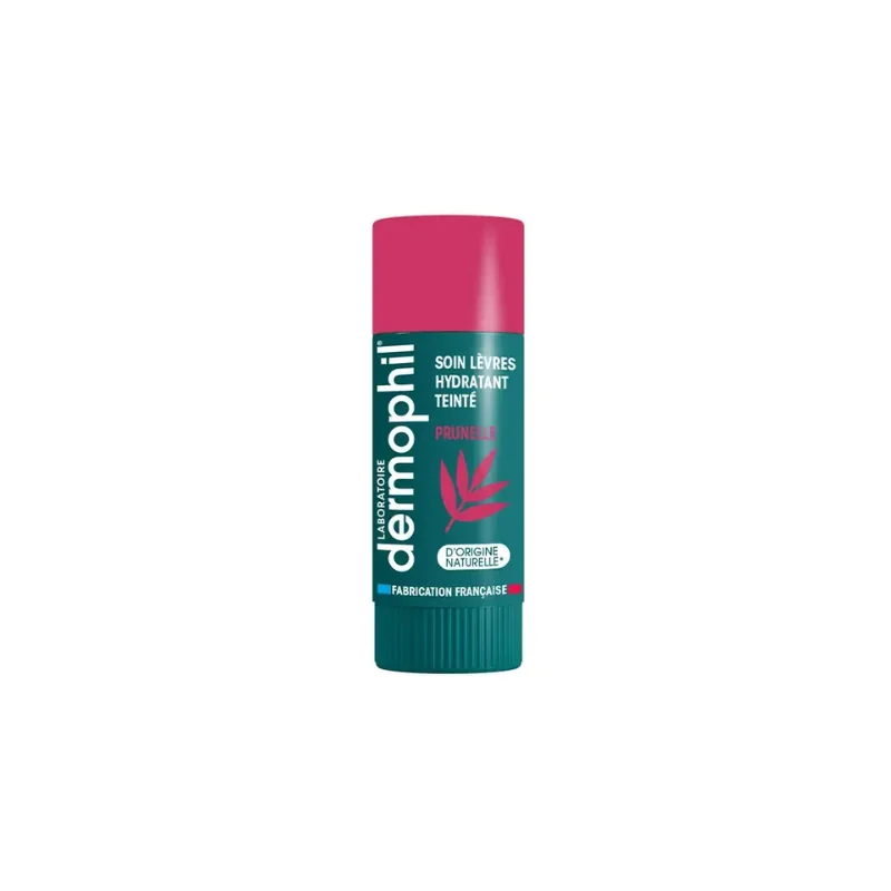 Dermophil Baume Lèvres Hydratant Teinté Prunelle 4g
